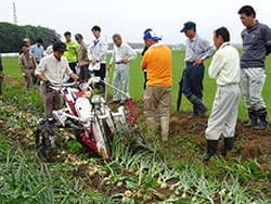 新たな業務向け産地確立めざし マーケットイン起点の事業を展開 / ＪＡ全農とちぎ（下）