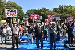 【鼎談：2017 世界はどう動く】転換期声上げ闘おう（1）