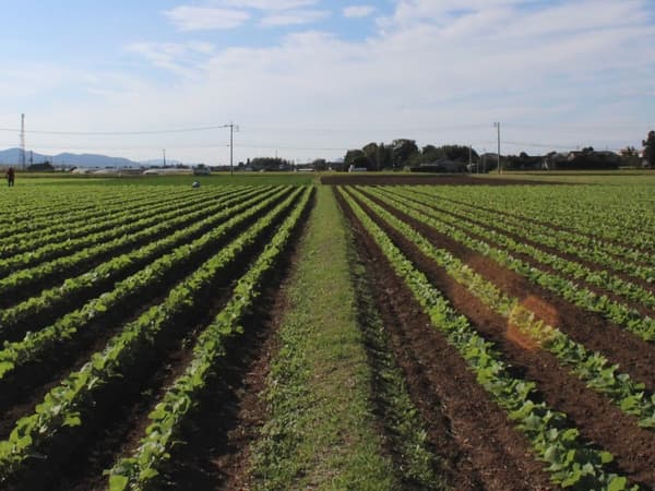 【ＪＡ菊池】「農協改革」は販売事業の強化（後編）