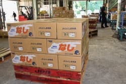 【ＪＡふくしま未来】震災を乗り越え、農業を続ける想いを実現（後編）