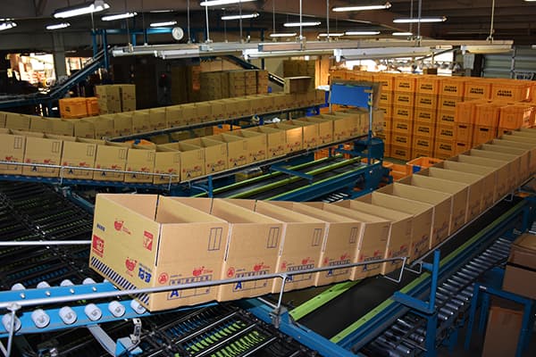 【現地レポート・ＪＡ土佐あき（高知県）】「一元集荷」と「共同計算」は農業振興策そのもの（後編）