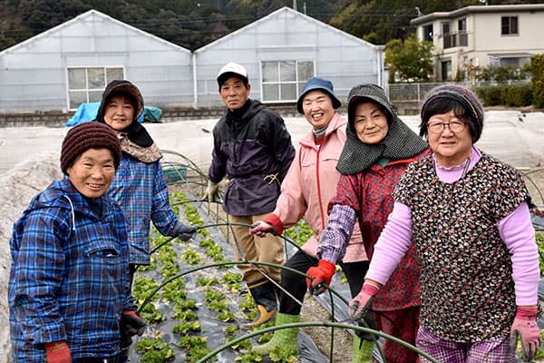 【現地レポート】ＪＡ静岡市女性部学校給食事業　未来をつくる人を育てる
