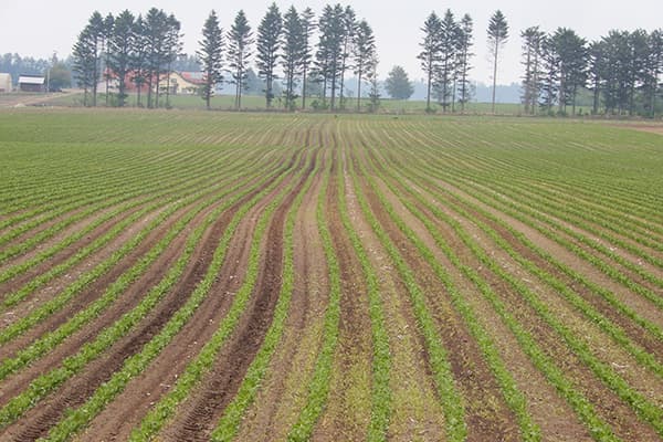 【ホクレンの100年－1】食料基地・北海道農業を支え農と食の未来を担う（命と暮らしと地域を守る農業協同組合の戦い・歴史が証言する）