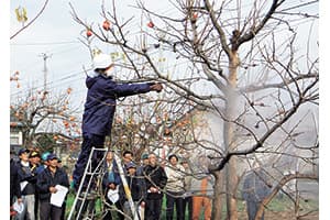 【歴史が証言する農協の戦い】原発事故と戦った福島の協同組合間連携【3】