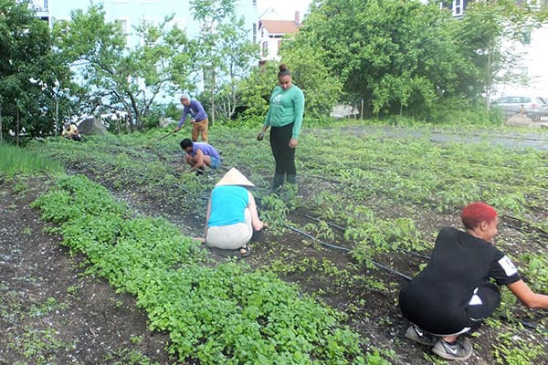 市民・ＮＰＯが支える「もうひとつのアメリカ農業」（２）【村田武・九州大学名誉教授】
