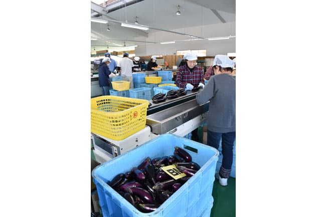 跳ね返せ　農協共販への不当な締めつけ ＪＡ高知県が高裁へ控訴