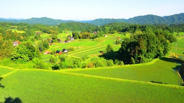 新たな世界農業遺産　島根県奥出雲地域と和歌山県有田・下津地域が認定　農水省