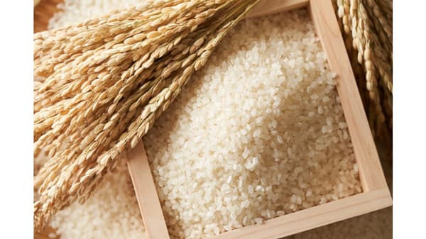 ブラジル向け精米　検疫条件が緩和　農水省