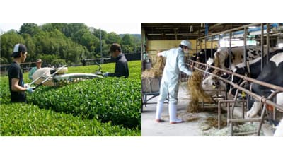 「京都で畜産・宇治茶就農相談会」8月5日に開催