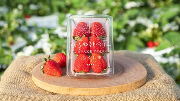フルーツ王国ふくしま「ゆうやけベリー・県産いちご」フェア開催