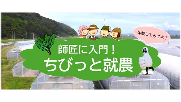 ホウレンソウ農家に入門「3日間の就農体験」参加者募集中　福井市