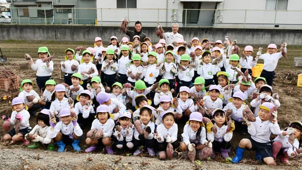 ＪＡいずみの「食育推進プロジェクト」サツマイモ収穫体験実施　大阪府泉大津市