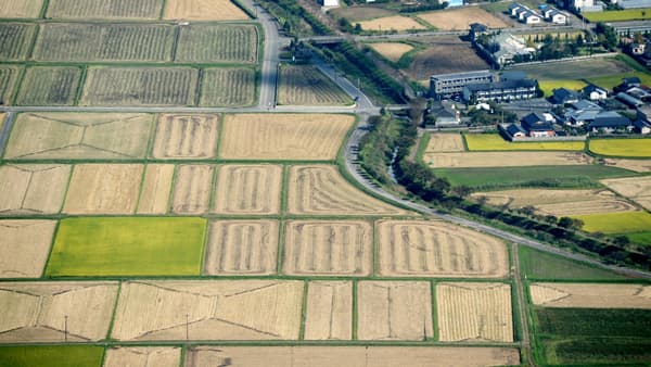 土地改良区に多様な人材を確保　土地改良法の見直し方向（２）