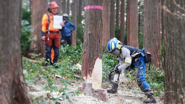 若手林業者が語るライブトーク　林業合同就職相談会で初開催