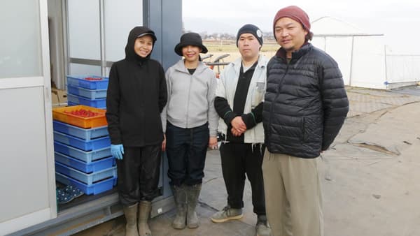 外国人材「育成就労制度」で変わる農業現場　正社員登用制度も検討　茨城県つくば市「ふしちゃんファーム」