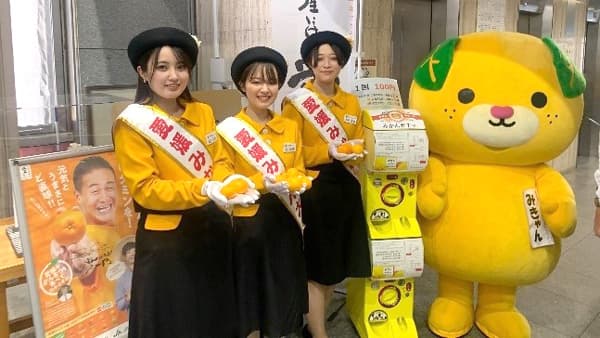 愛媛県庁に「みかんガチャ」設置　期間限定で高級品種「甘平」が登場