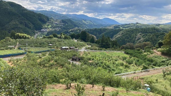 中山間地域の農地調査効率化へ　愛媛県内子町と実装検証開始　サグリ