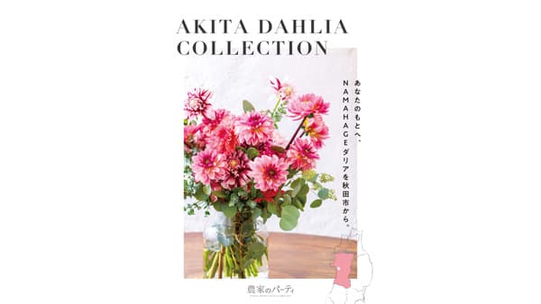 秋田市産ダリア×日比谷花壇　2025タイアップキャンペーン開催
