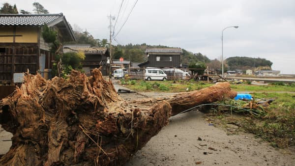 能登半島地震　農林水産被害　3658億円　東日本大震災に次ぐ額