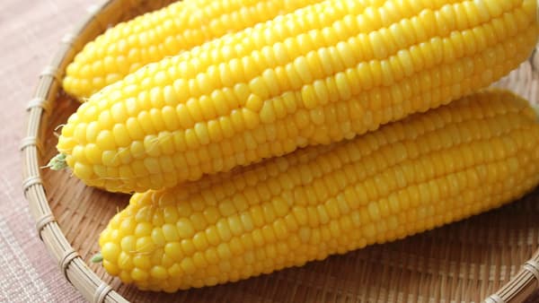 奇跡のテロワール「つなん産直市」26日に銀座で開催　新潟県津南町