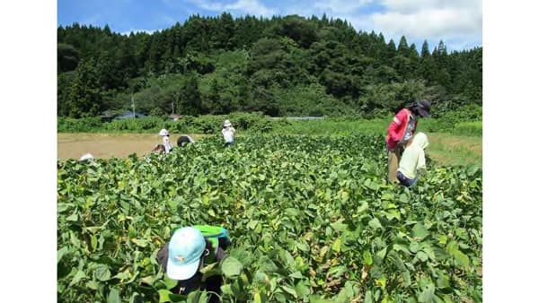 秋田の農業や自然、地域文化の魅力を知る体験ツアー　参加者を募集　秋田市