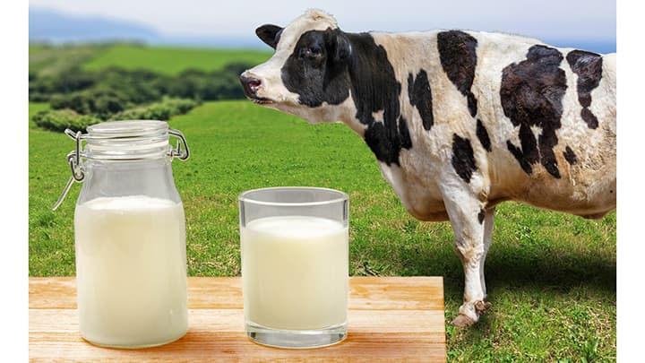 【クローズアップ：Ｊミルク国際委始動】持続的酪農へ業界挙げ対応　農政ジャーナリスト・伊本克宜