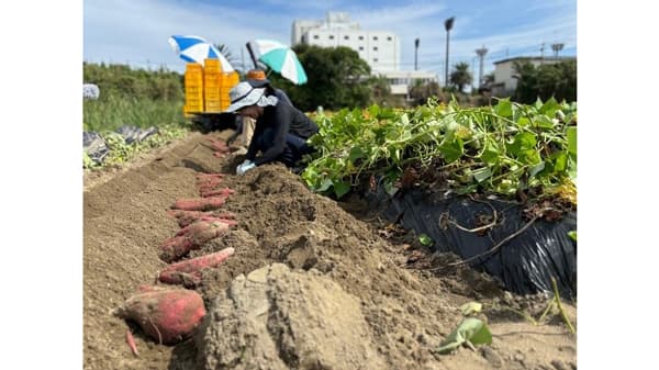 鳴門市×おてつたび×ＪＡ里浦「半農半X」推進シェアハウス事業「なると金時編」開始