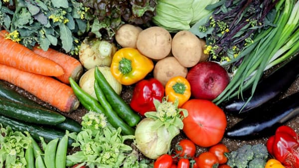 9月の野菜生育状況「にんじん」9月前半にお買い得　農水省