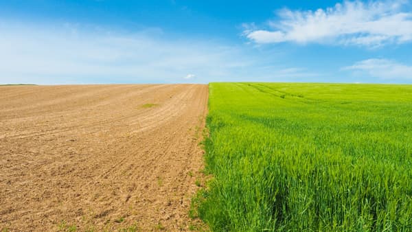 【ドイツ農業最前線】環境危機　オーガニックと再生可能エネルギーで対抗　九州大学名誉教授　村田武氏（上）