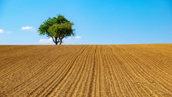 【ドイツ農業最前線】エコロジー転換を求めるドイツ農業　九州大学名誉教授　村田武氏（下）