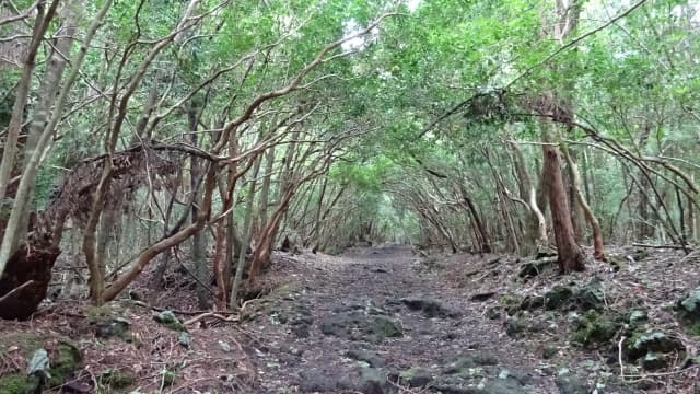 農林漁業者の昨年の自殺者数は298人　うつ病など健康問題が原因・動機で最多