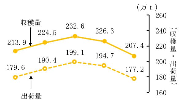 春植えばれいしょ　高温と少雨で全国８％減