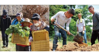 「ノウフク・アワード2024」募集開始　農福連携の優れた事例を表彰　農水省