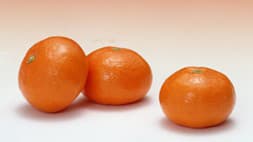 タイ向け日本産かんきつ類　検疫条件が緩和　輸出に取り組みやすく　農水省