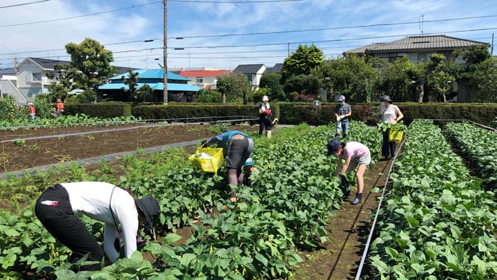 【特集：許すな命の格差　築こう協同社会】現地ルポ：組合員目線で都市農地守る　あってよかったモットーに（２）飯田勝弘　ＪＡ世田谷目黒（東京都）経営管理委員会会長に聞く
