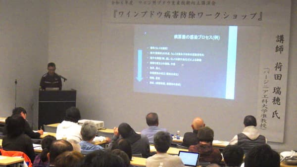 ワイン用ぶどう栽培の最前線を学ぶ講演会＆研修会を開催　長野県東御市