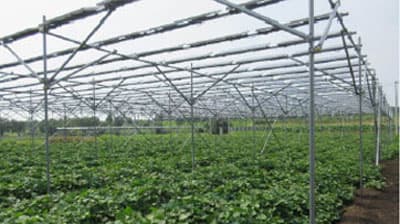 適切な営農継続　確保できるか－生産緑地の営農型太陽光発電設備
