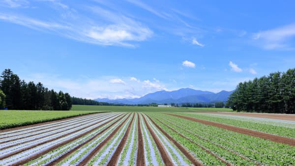 【迫る食料危機　悲鳴をあげる生産者】作物価格下落で大痛手　畜産の友人は「青色吐息だべさ」