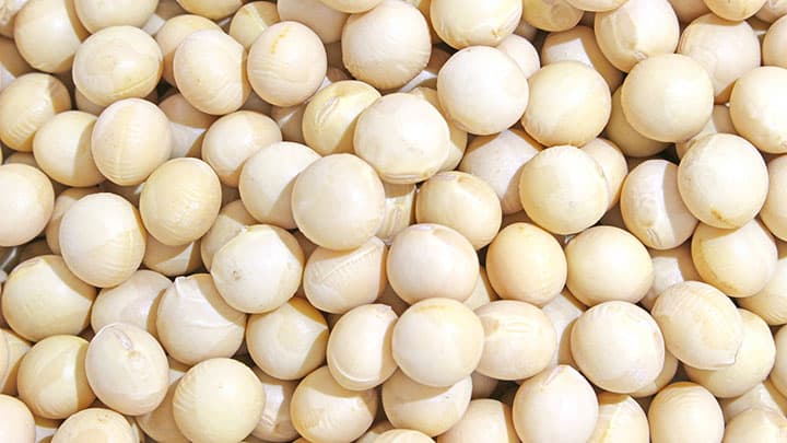 普通大豆　平均落札価格9987円／60kg　1月入札
