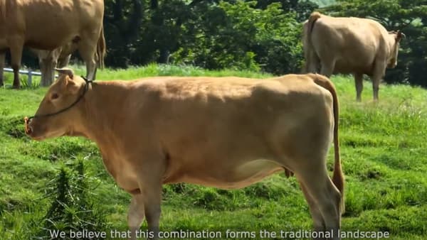 サステナブルな取組を発信「サステナアワード2023」募集開始　農水省