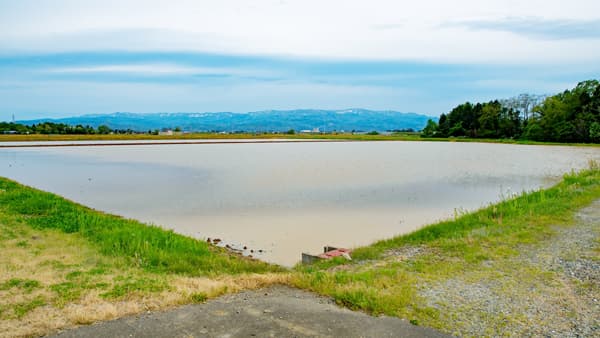 水田大区画化で労働費6割削減めざす　土地改良長期計画