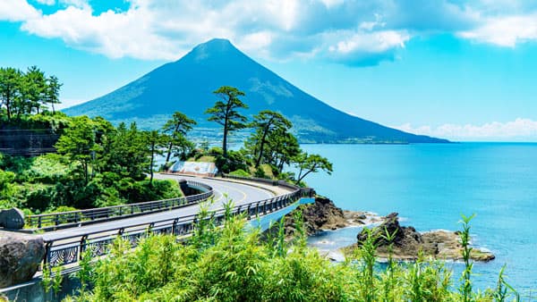 ふるさと納税返礼品の「黒毛和牛」　実は交雑種やホルスタイン　鹿児島の水迫畜産