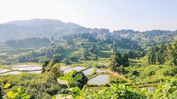 地方創生を蝕むコンサルと限界自治体　横山勲『過疎ビジネス』の問いかけ