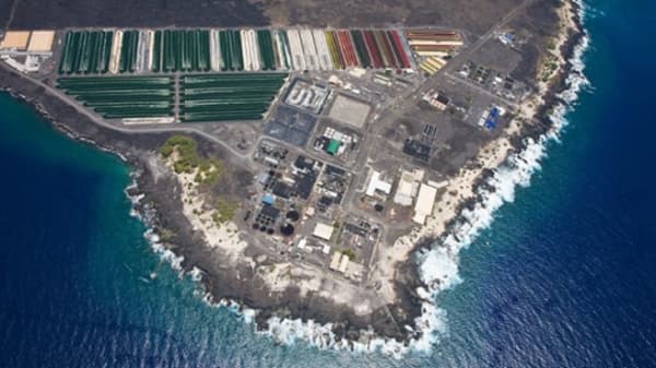 出光興産　ブルーカーボン事業創出に向けファンドへ出資