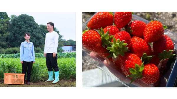 農家応援企画　手賀沼の農コン「FARMERS PARTY」開催　千葉県柏市