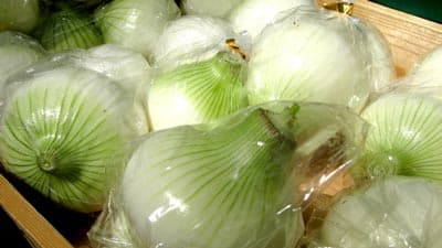 2021年産たまねぎの収穫量大幅減　指定野菜の統計調査　農水省