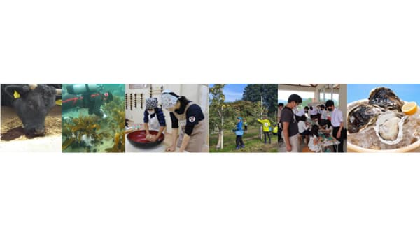 「ディスカバー農山漁村（むら）の宝」優良事例30地区を決定　農水省