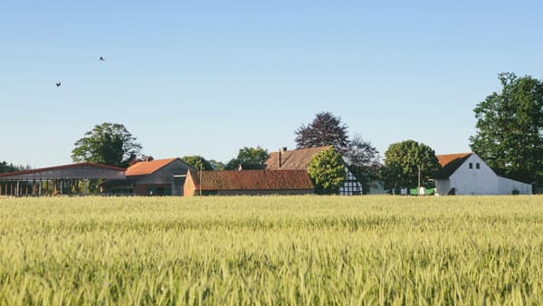 【ドイツの有機農業を訪ねて】第3回　有機農業連盟「ビオラント」の有機農業基準　河原林孝由基・農中総研主席研究員