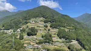 【2025農林業センサス】集落調査の修正案公表　自治会長を対象に　農水省