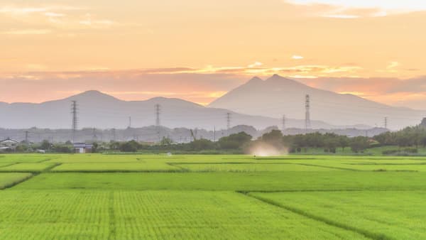 将来受け手のない農地　約3割　地域計画で判明